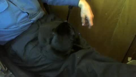 muller520 online show from 04-20-26, 04:43