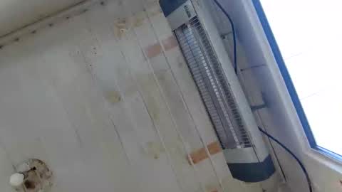 handsome sexy muscular man online show from 09-22-25, 06:15