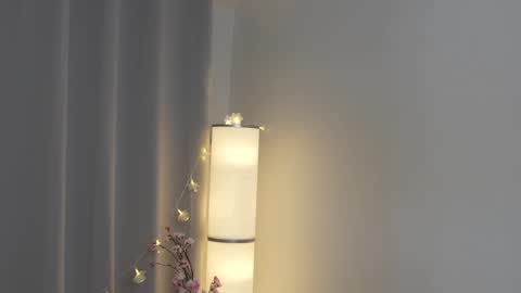 Snapshot of my_stella chatting on 01-28-25, 03:25 STELLA Im here today online show from 01-28-25, 03:25