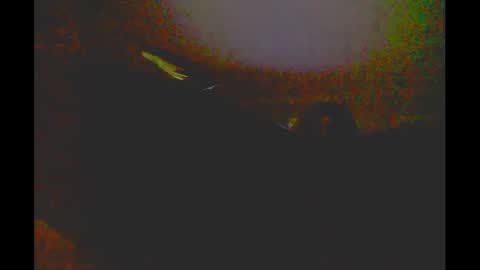 Snapshot of myassfatsowhat chatting on 01-05-25, 04:58 myassfatsowhat online show from 01-05-25, 04:58