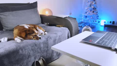 Snapshot of mylegsonheels chatting on 12-27-24, 10:48 Anda online show from 12-27-24, 10:48