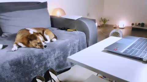 Snapshot of mylegsonheels chatting on 02-17-25, 10:58 Anda online show from 02-17-25, 10:58