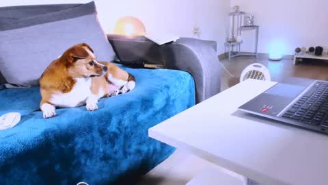 Snapshot of mylegsonheels chatting on 03-07-25, 01:20 Anda online show from 03-07-25, 01:20