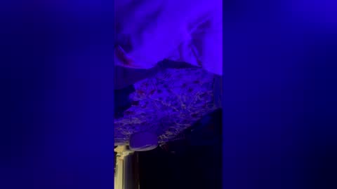 Snapshot of mysexiness0 chatting on 03-12-26, 03:23 mysexiness0 online show from 03-12-26, 03:23