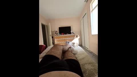 Snapshot of mysterbearmg chatting on 09-27-25, 06:46 mysterbearmg online show from 09-27-25, 06:46