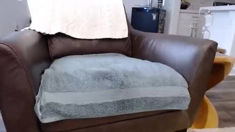 Lynn online show from 11-10-25, 03:55