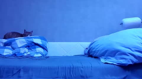 Snapshot of n3philim999 chatting on 10-12-25, 10:09 n3philim999 online show from 10-12-25, 10:09