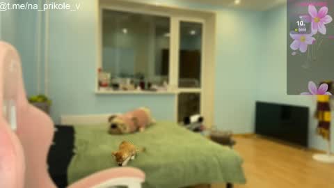 Snapshot of na_prikole_ chatting on 10-24-25, 05:20 Vanessa and Julia  online show from 10-24-25, 05:20