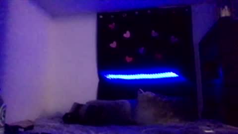 Snapshot of nadiabella07 chatting on 02-15-26, 08:13 Missbellaaaxox online show from 02-15-26, 08:13