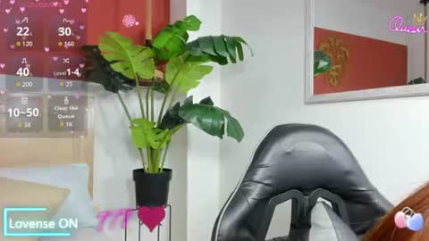 N A I A R A online show from 06-15-26, 08:33