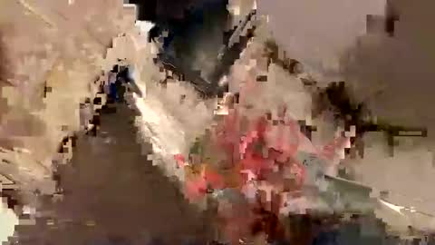 nairda2senoniuq online show from 12-22-24, 08:03