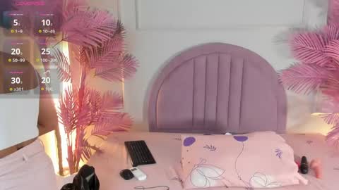 nalapalmer online show from 05-24-26, 11:37