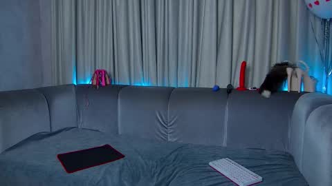 Nally online show from 02-22-25, 08:07