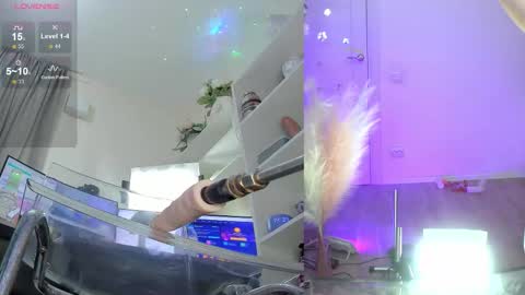 INSTAGRAM     bekkercat  online show from 11-17-25, 11:38