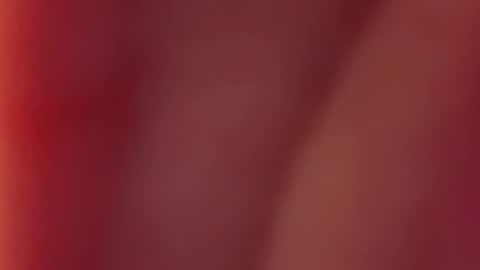 Snapshot of nancy_witch chatting on 12-12-24, 07:52 Nancy and Archi online show from 12-12-24, 07:52