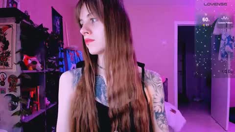 Monday-Friday 12-4 AM and 6-9 AM New York time online show from 02-26-25, 08:44