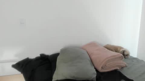 Naomi Moore online show from 01-17-26, 06:11