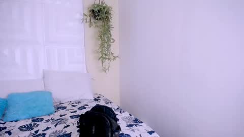 Snapshot of nataly_mcry chatting on 04-25-26, 05:21 NATALY online show from 04-25-26, 05:21