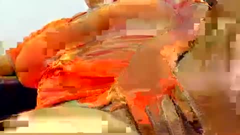 natasha_klaus1 online show from 10-23-25, 02:44