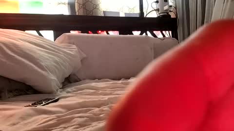 Snapshot of nativeboi22 chatting on 02-03-25, 05:03 Haven online show from 02-03-25, 05:03