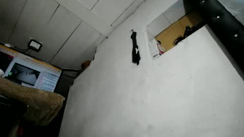 natalia online show from 06-23-26, 02:09
