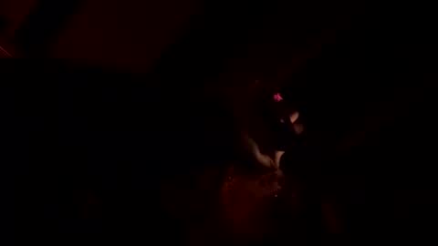 naturebabe666 online show from 04-14-26, 08:53