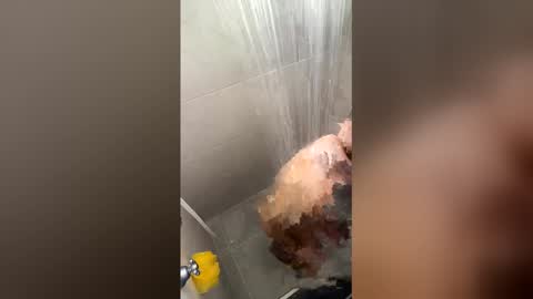 Snapshot of naughty_art chatting on 03-23-26, 01:48 Joyci Lima online show from 03-23-26, 01:48