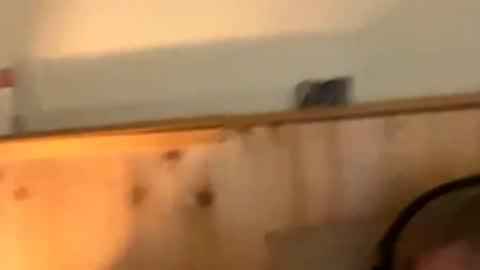 Naughtydaddy36 online show from 11-30-25, 10:36