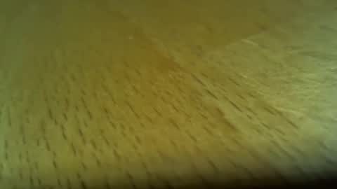 ncbncb online show from 02-08-26, 03:37