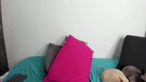 Nei turn green online show from 09-22-25, 01:29