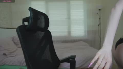 Nellie online show from 04-18-26, 12:09