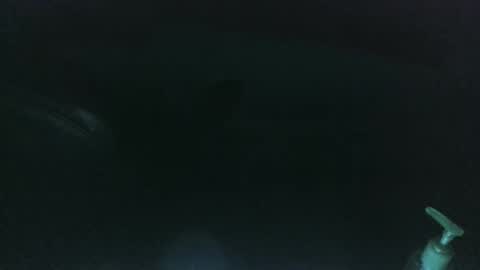 Snapshot of nelsonbucara chatting on 03-08-25, 10:00 nelsonbucara online show from 03-08-25, 10:00