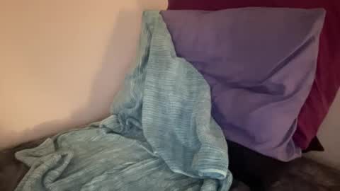 Snapshot of nerdydong chatting on 02-26-25, 03:32 Xavy online show from 02-26-25, 03:32