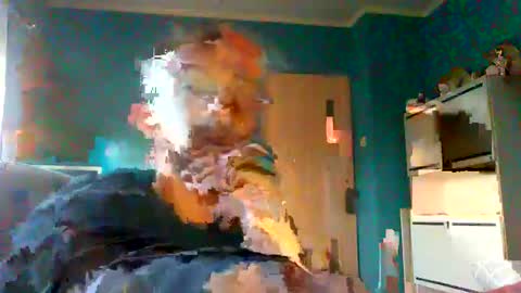 Mark online show from 02-08-25, 07:48