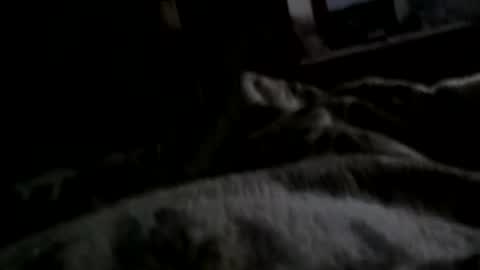 Snapshot of neverseentthatb4 chatting on 12-11-24, 07:42 Matt online show from 12-11-24, 07:42