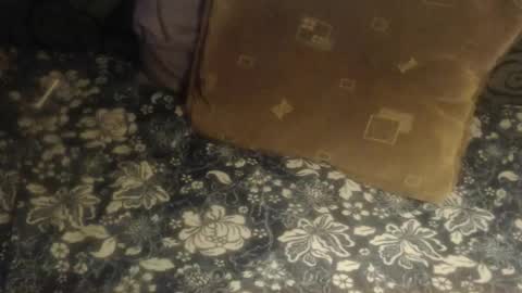 Lilly  online show from 11-28-25, 04:37