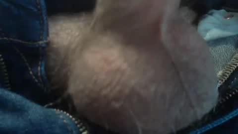 ni983 online show from 12-11-24, 09:09