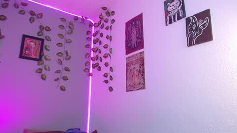  niakat  online show from 07-29-26, 05:16