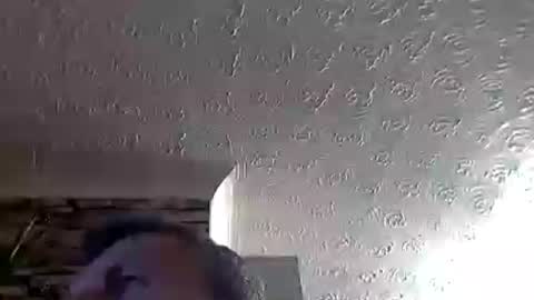 nice_cock8080 online show from 07-04-26, 11:55