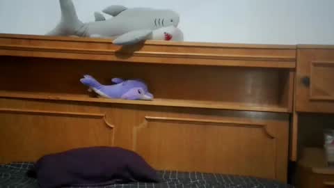 Nicholle online show from 07-01-26, 08:52