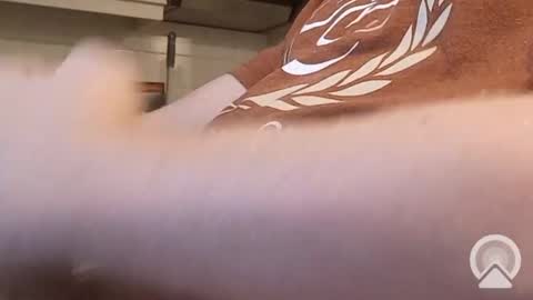 Snapshot of nick_x_b chatting on 12-09-24, 05:19 nick_x_b online show from 12-09-24, 05:19