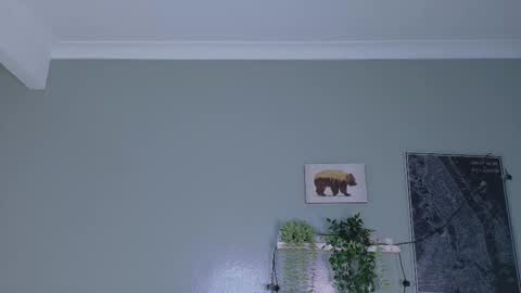 Snapshot of nickifox__ chatting on 01-15-26, 10:35 NICKI FOX online show from 01-15-26, 10:35