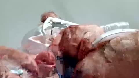 TheCock online show from 12-28-24, 08:58