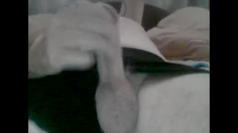 TheCock online show from 10-31-25, 05:19