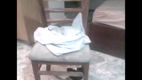 TheCock online show from 02-07-26, 11:58