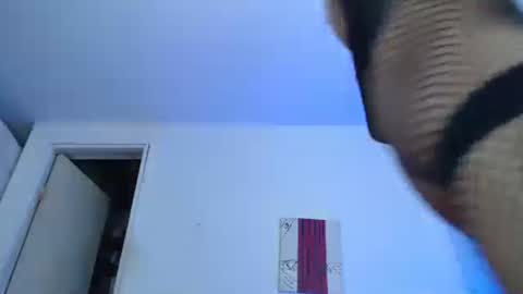 sammy hoot online show from 12-29-24, 02:17