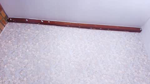 Snapshot of nicol_ferrer chatting on 11-21-25, 03:05 Nicol online show from 11-21-25, 03:05