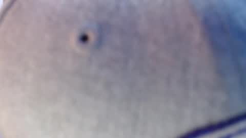 nicolas online show from 12-12-24, 07:19