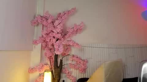 nicole_diaz7 online show from 12-01-25, 01:16