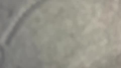 Nicoll  Independent model online show from 04-15-26, 08:43